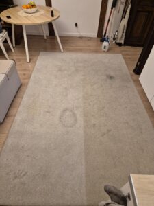 Pranie dywanów i wykładzin - OzoClean