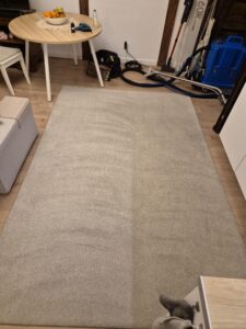 Pranie dywanów i wykładzin - OzoClean