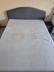 Pranie dywanów i wykładzin - OzoClean