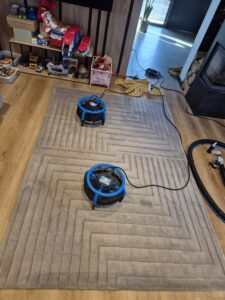 Pranie dywanów i wykładzin - OzoClean