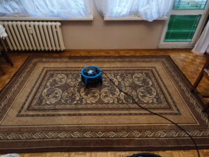 Pranie dywanów i wykładzin - OzoClean