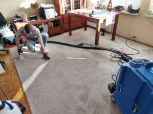 Pranie dywanów i wykładzin - OzoClean