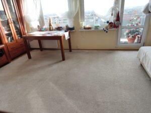 Pranie dywanów i wykładzin - OzoClean